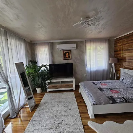 за гости боляри Welingrad