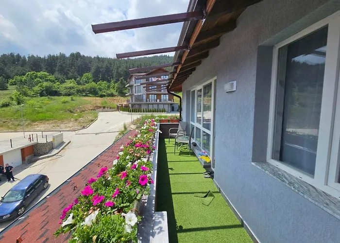 за гости боляри *